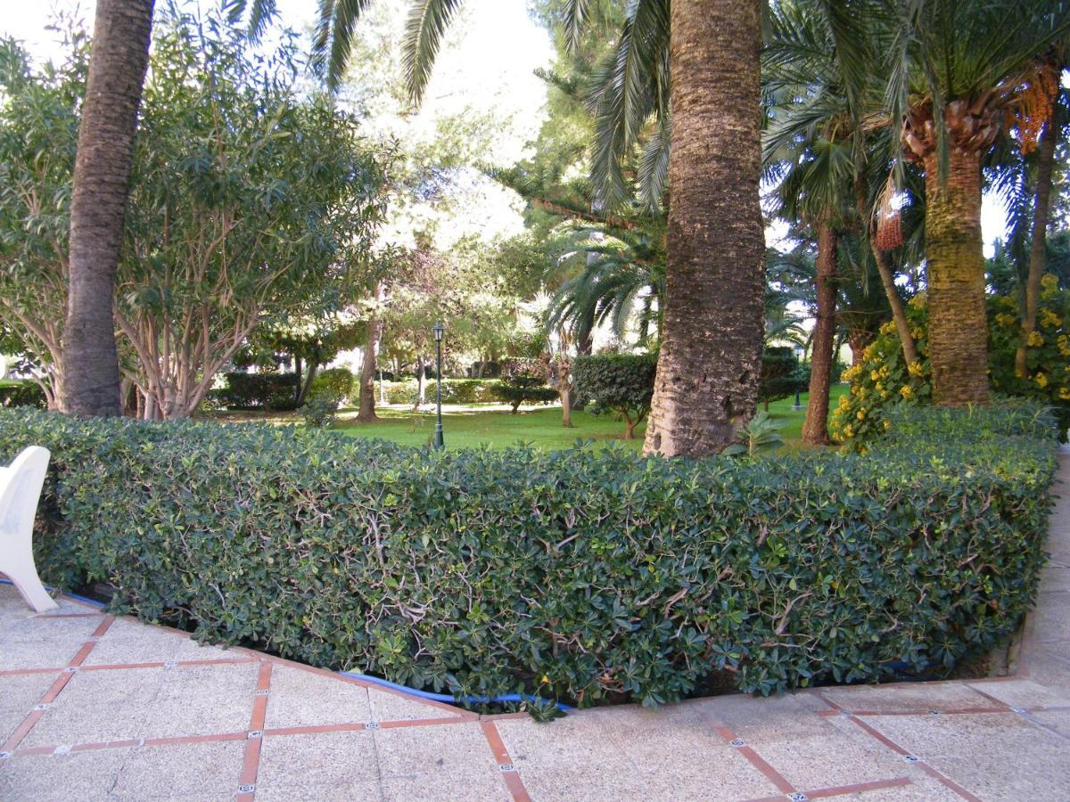 Apartamento Parque Ii, Mnostrum Playa De Gandia Exclusivo Familias Exterior photo